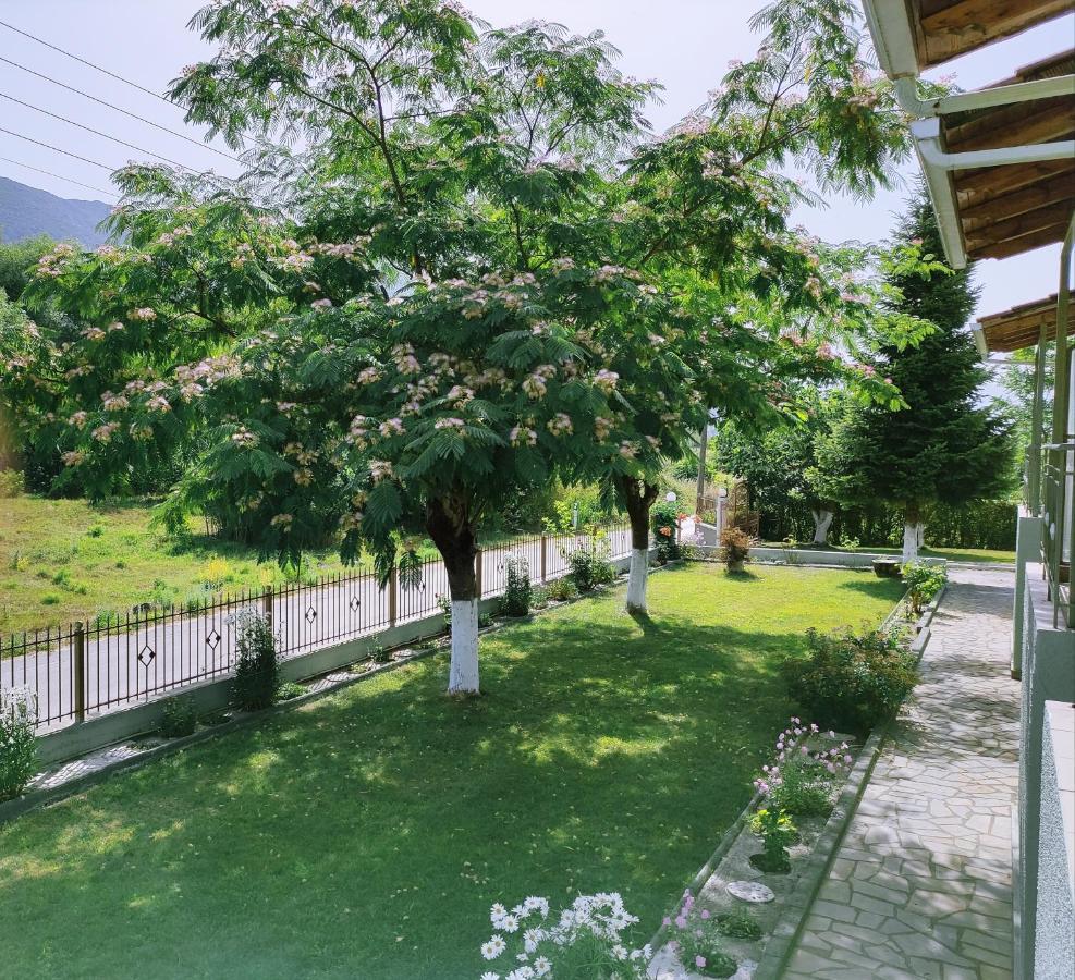 Zisis Garden Studios Янина Экстерьер фото