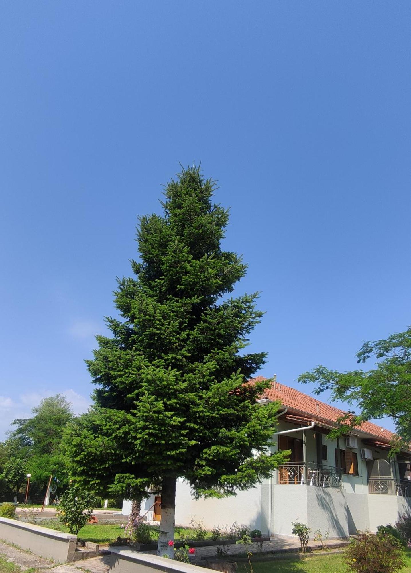 Zisis Garden Studios Янина Экстерьер фото