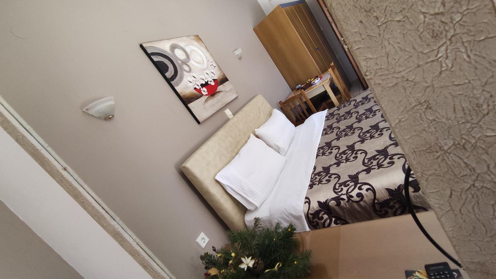 Zisis Garden Studios Янина Номер фото