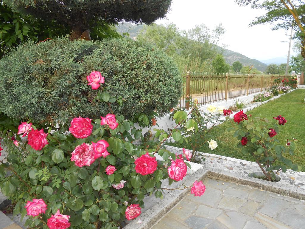 Zisis Garden Studios Янина Экстерьер фото