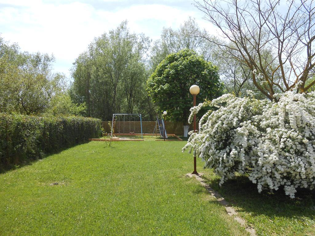 Zisis Garden Studios Янина Экстерьер фото