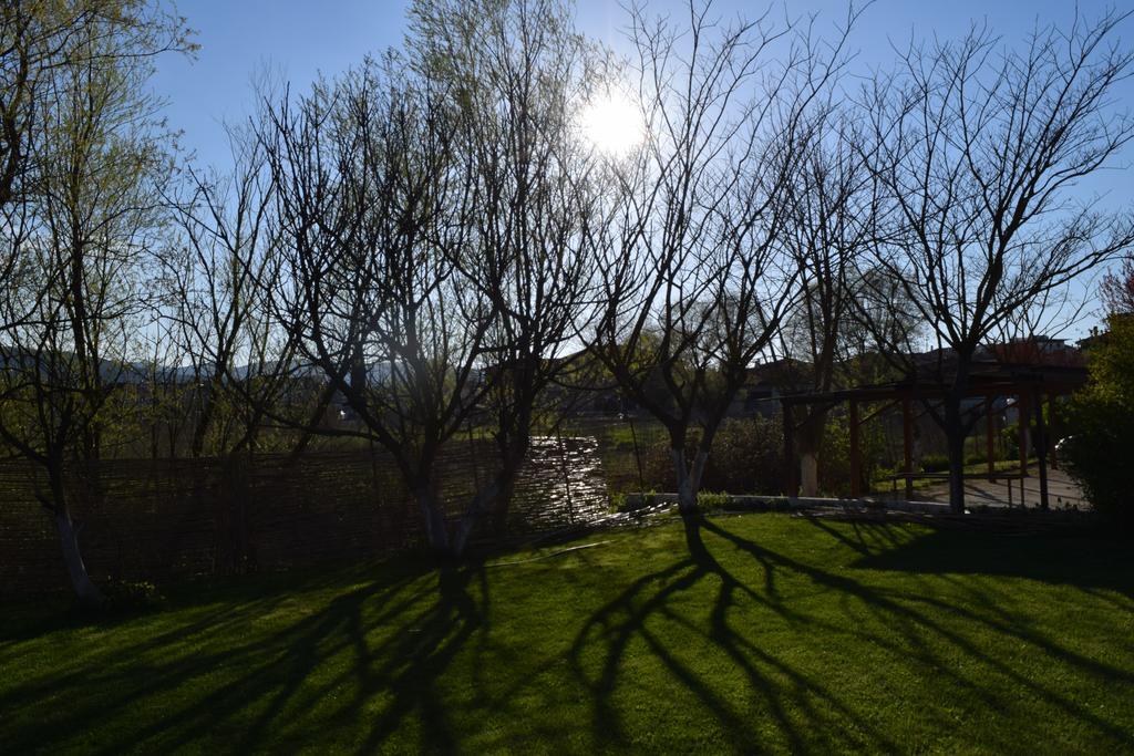 Zisis Garden Studios Янина Экстерьер фото