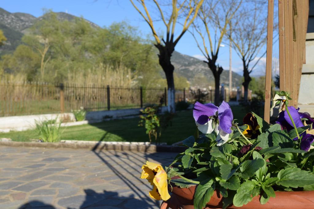 Zisis Garden Studios Янина Экстерьер фото