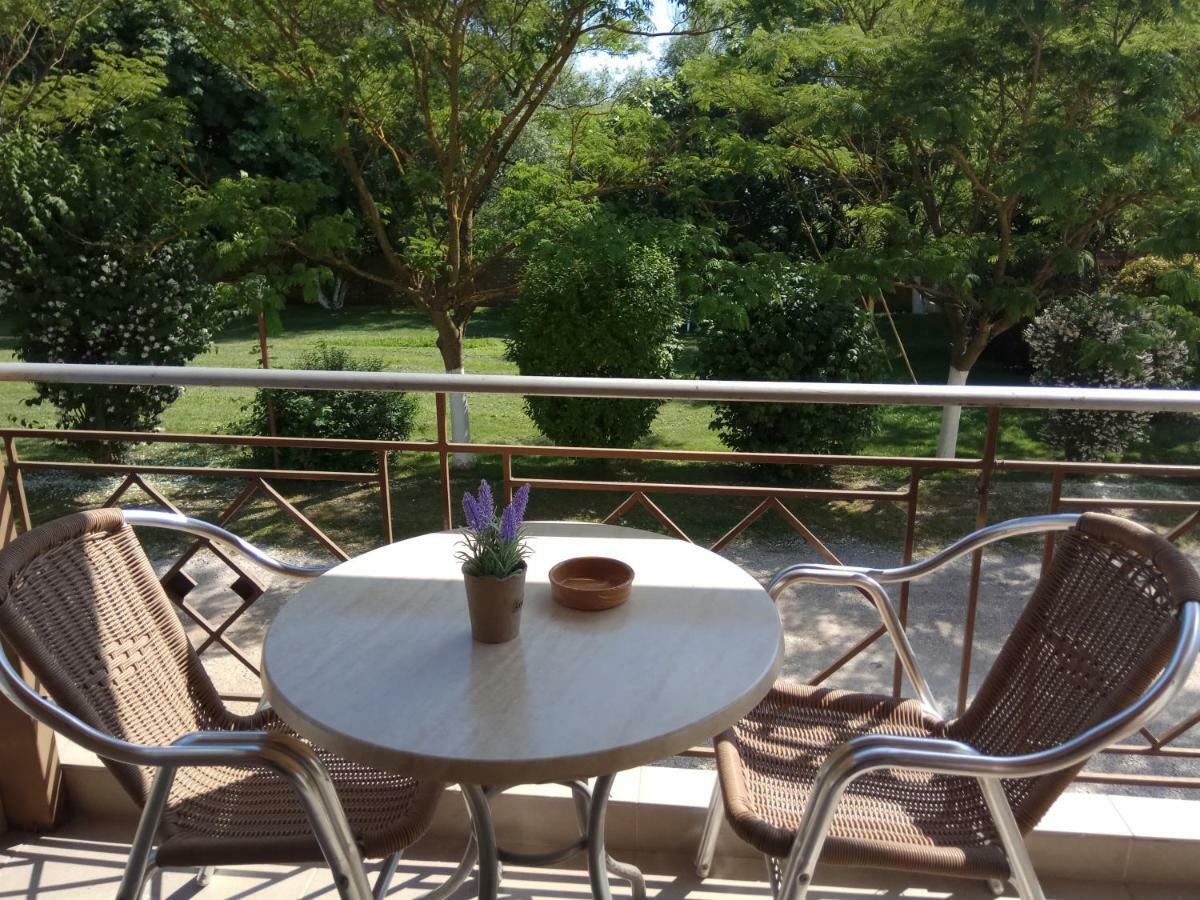 Zisis Garden Studios Янина Экстерьер фото
